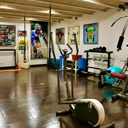 Cas Coix Jacuzzi Gym & Pool * Biniali (Majorca)