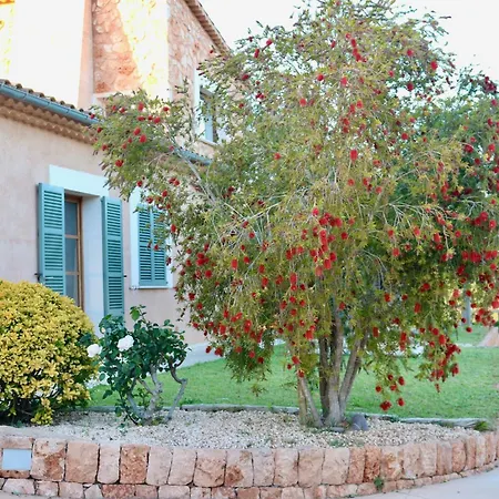 Villa Cas Coix Jacuzzi Gym & Pool Biniali (Majorca)